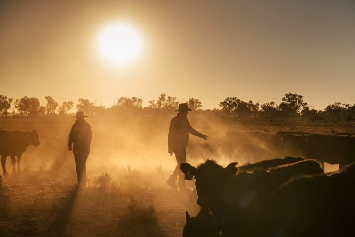 on-farm-emergency-water-rebate-regional-development-australia-eyre