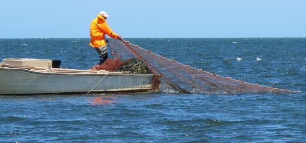 Commercial Fishing Reform - Regional Development Australia Eyre
